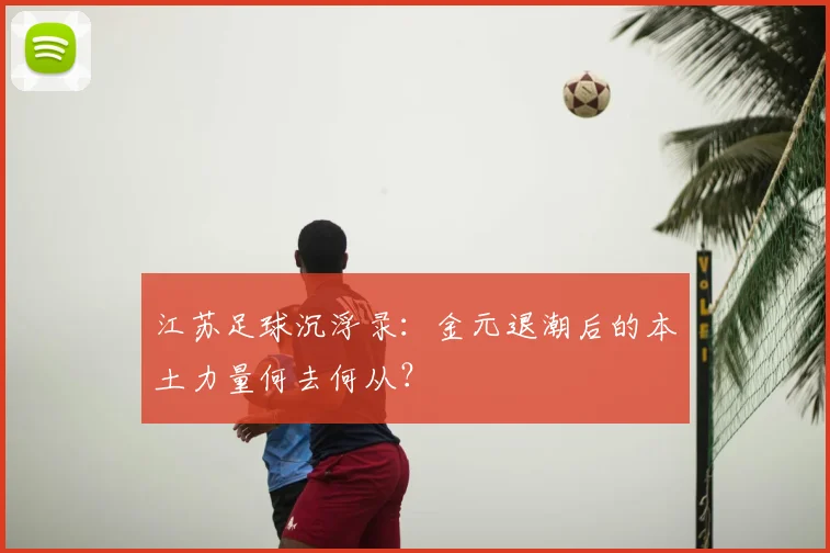 江苏足球沉浮录：金元退潮后的本土力量何去何从？