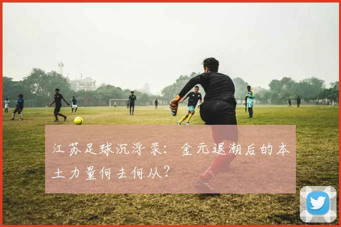 江苏足球沉浮录：金元退潮后的本土力量何去何从？